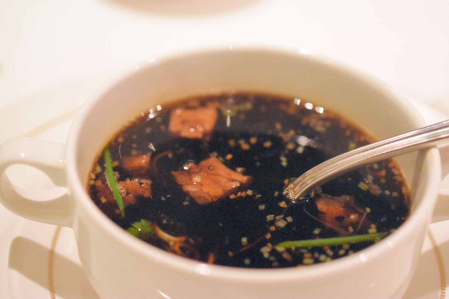 consomme Food Science Institute